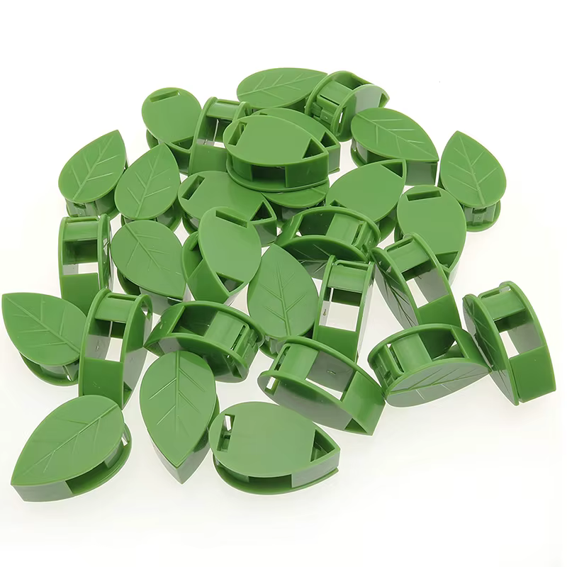 Fixation murale Invisible pour plantes grimpantes, support de vigne en rotin, boucle fixe, Clips pou