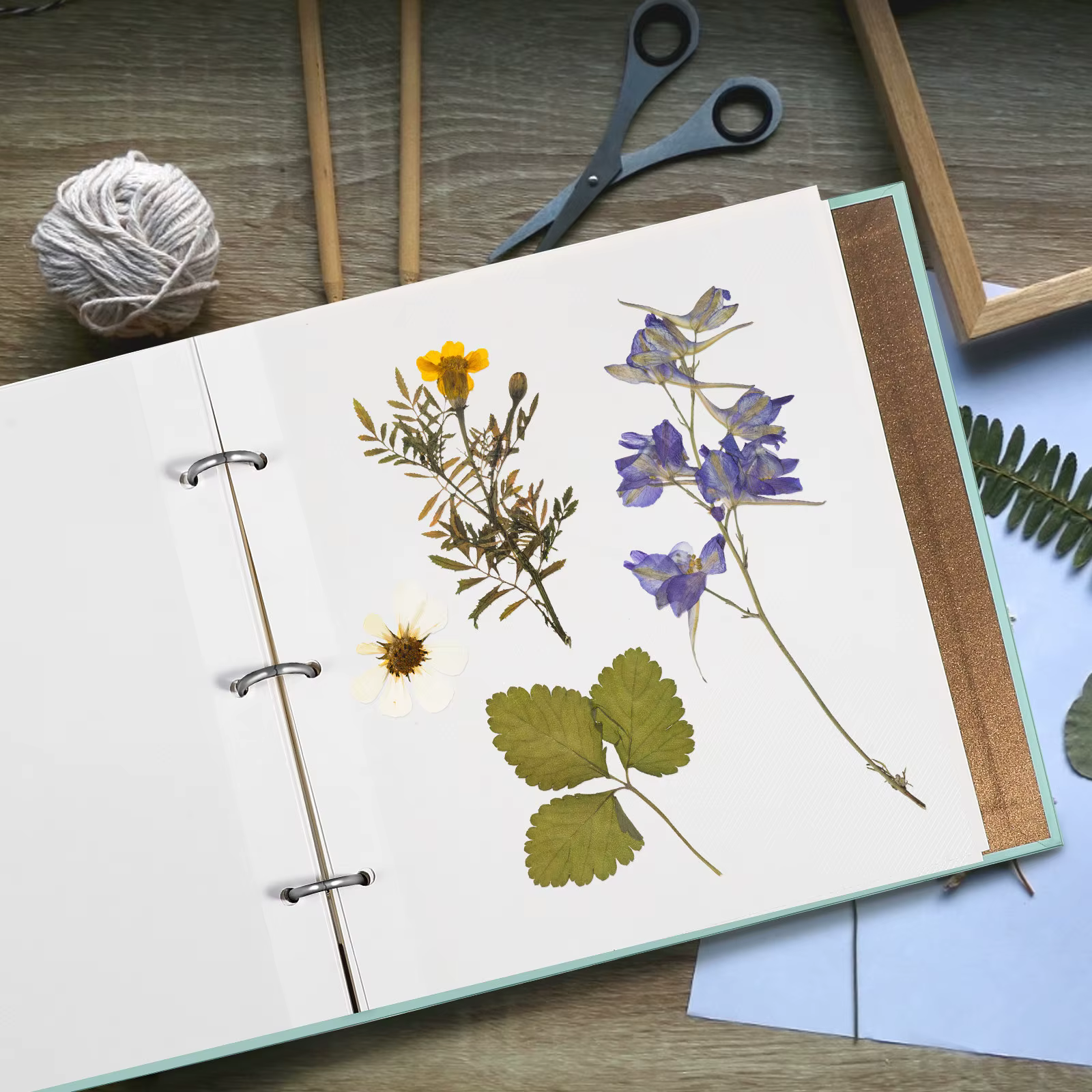 Album de scrapbooking botanique auto-adhésif pour fleurs pressées, feuilles séchées, collection d'he