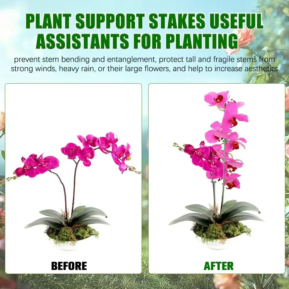 Supports pour plantes, papillons, orchidées, fleurs, tiges de fixation en pot, réutilisables, Protec