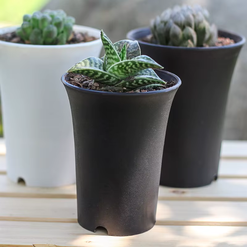 Pot de fleurs rond épaissi pour plantes succulentes, bassin Vientiane, jardinière de fleurs réutilis