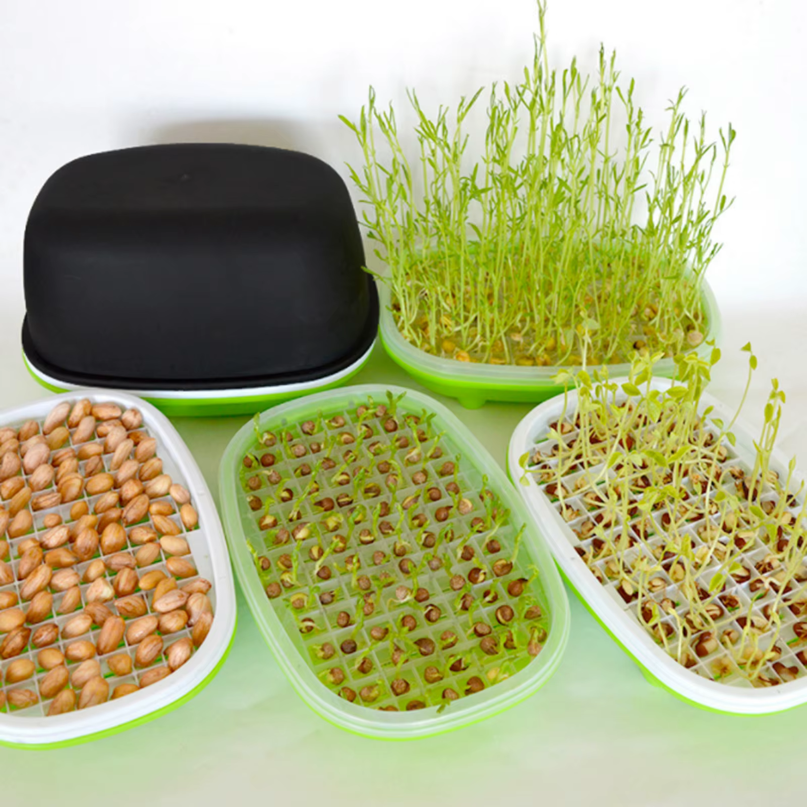 Plateau de germination de graines, boîte de germination d'arachide hydroponique de jardin, poire, ha