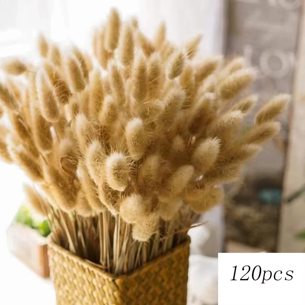 120 pièces de fleurs séchées naturelles, bouquet de pampas, décoration bohème pour la maison, rempli