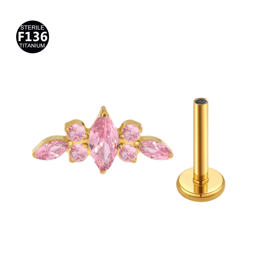 Boucles d'Oreilles en Titane F136 16G, Barre Incurvée, Piercing de Corps, Clou Labret Fileté, Tragus