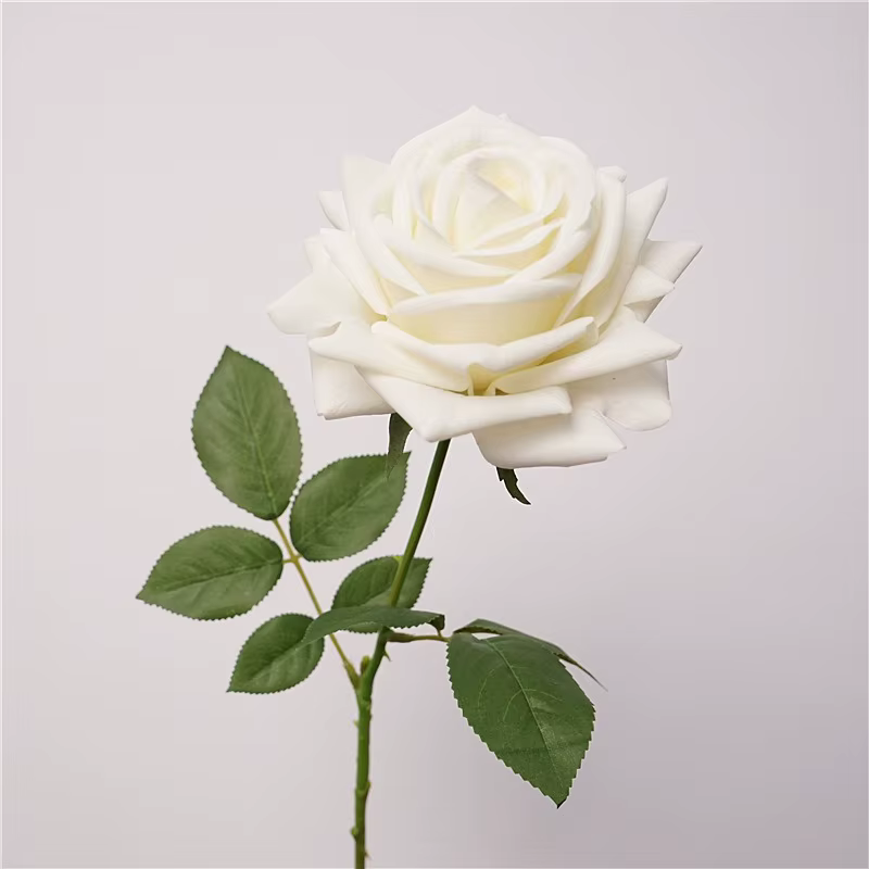 Lot de 5 Roses Artificielles Hydratantes Effet Réel pour Décoration de Mariage, Bouquet de Mariage, 