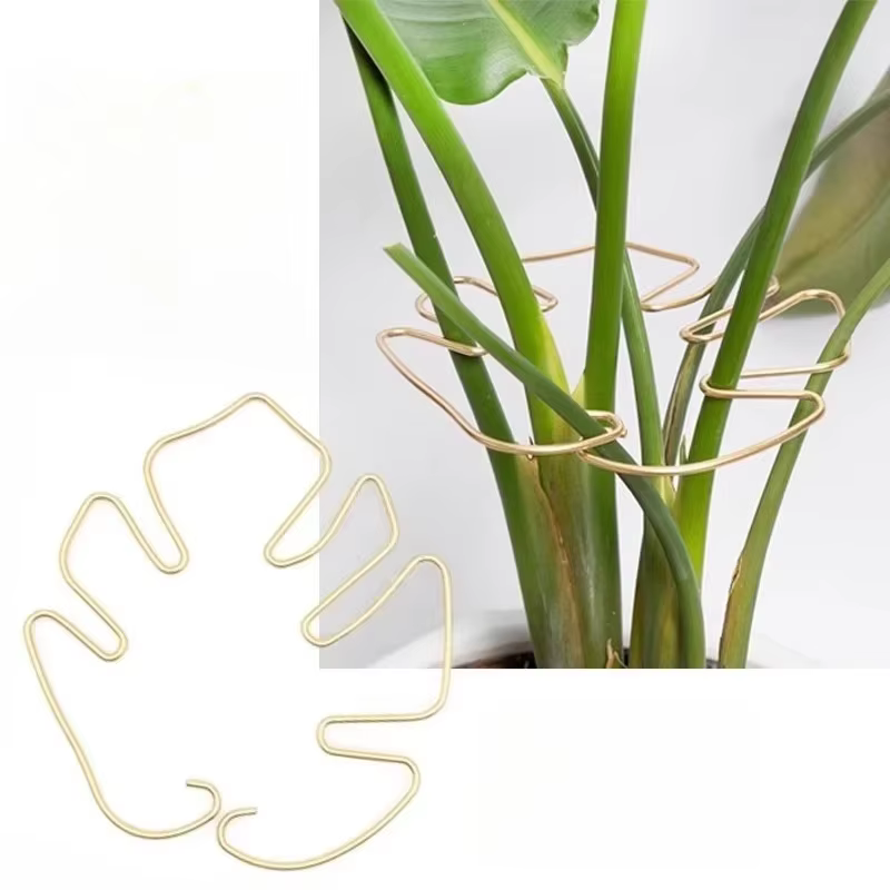 Support de tige de plante à usage intérieur et extérieur, grand Support de plante suspendu en fer Mo