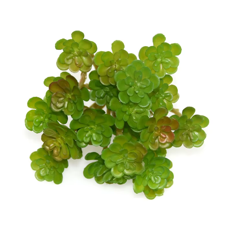12 Pièces de Plantes Succulentes Artificielles Vertes, Décoration Florale pour la Maison et le Salon