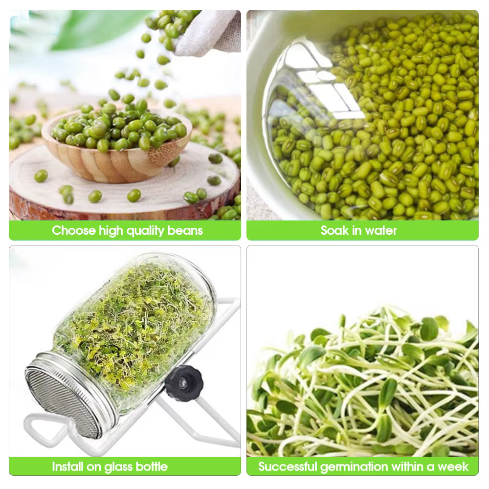 Pot de germination à bouche large avec écran en acier inoxydable, kit de germination pour la fabrica