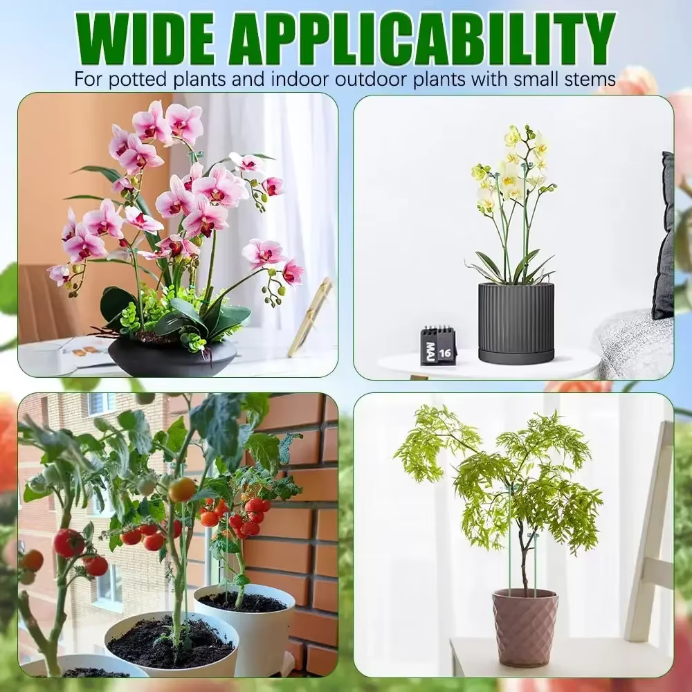 Supports pour plantes, papillons, orchidées, fleurs, tiges de fixation en pot, réutilisables, Protec