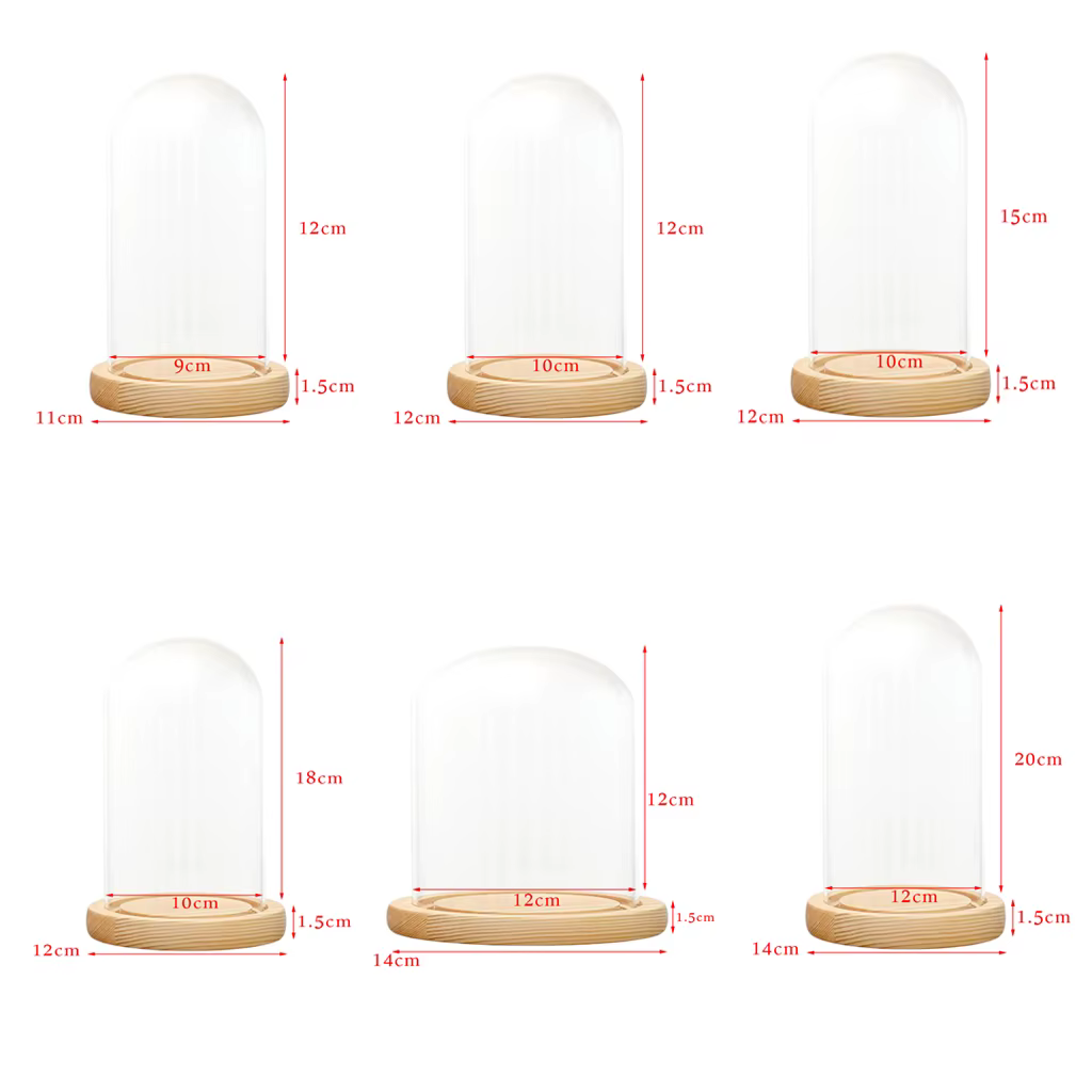 Présentoir de table couvercle en verre Terrarium conteneur décor fleurs sèches ornements artisanat c