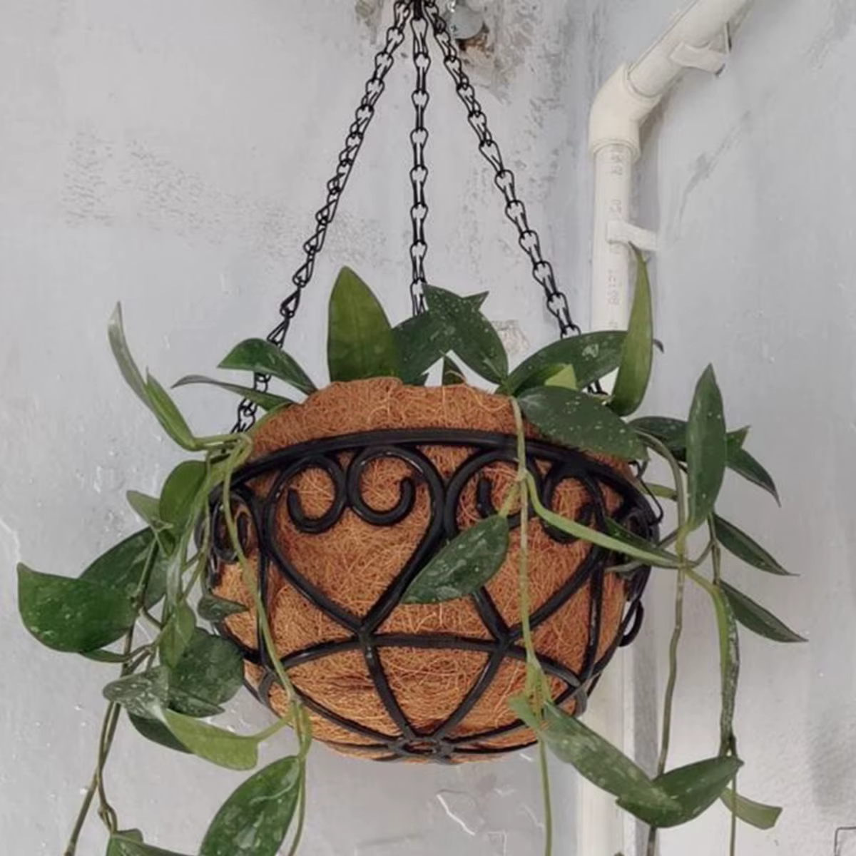 Pot de fleurs rond en fer marron noix de coco, panier suspendu, plante verte charnue créative europé