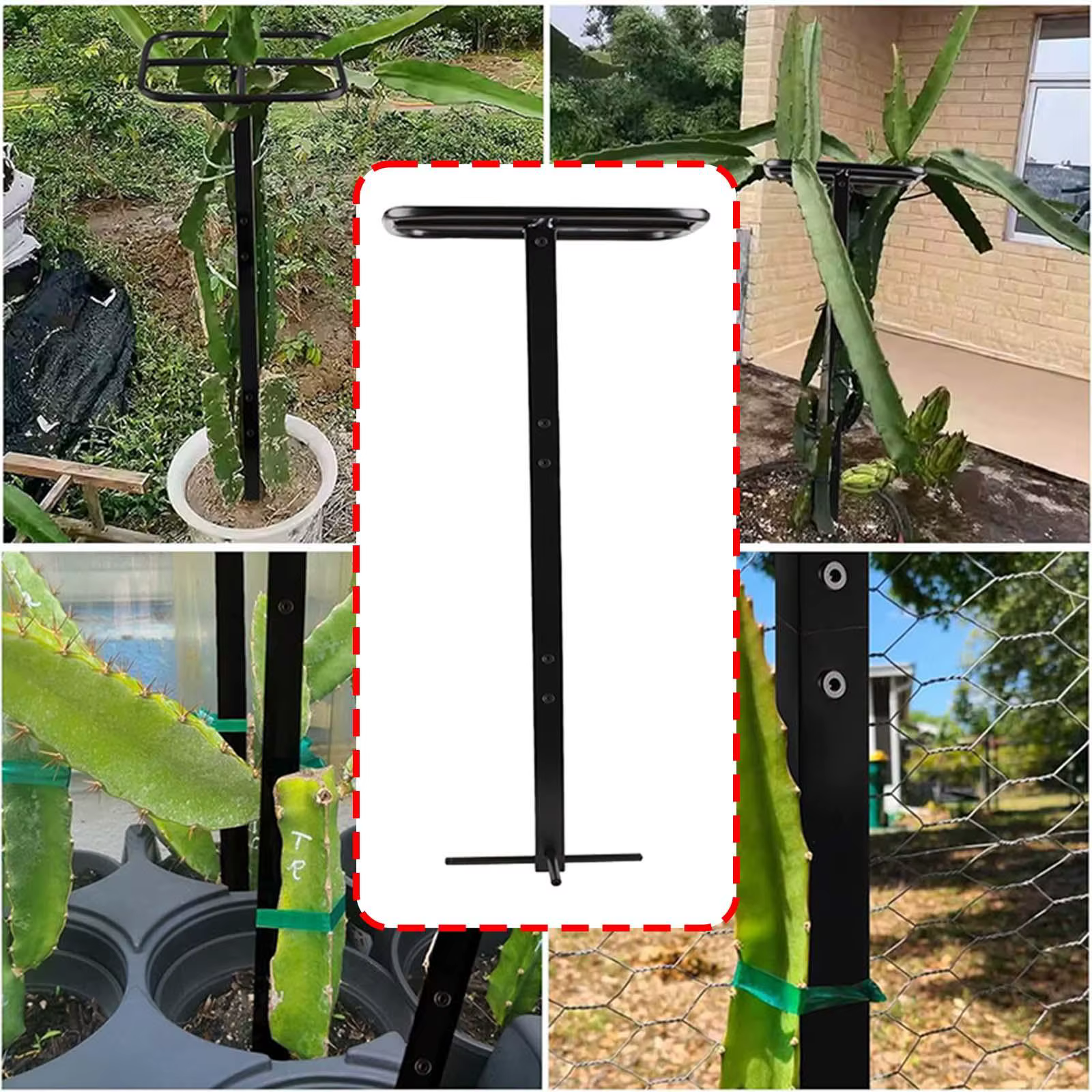 Treillis de fruits de Dragon polyvalent, facile à assembler, pour plantes en pot, pour balcon, Roses