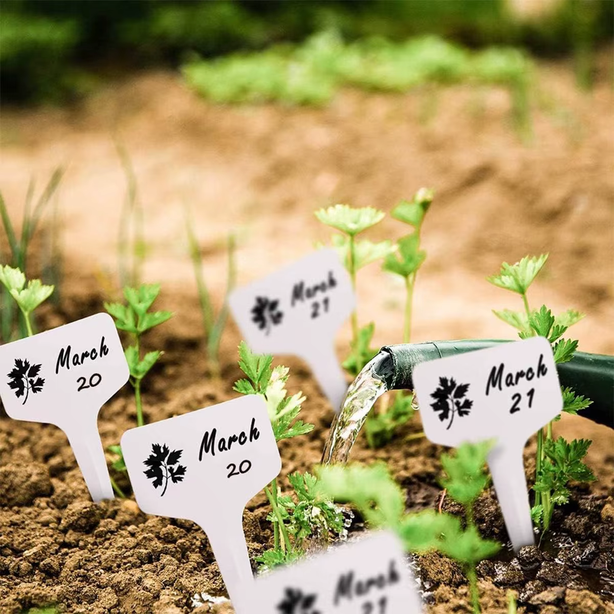 Marqueurs de plantes blancs en forme de T en Pvc, 100 pièces, étiquette de sol de jardinage en pot d