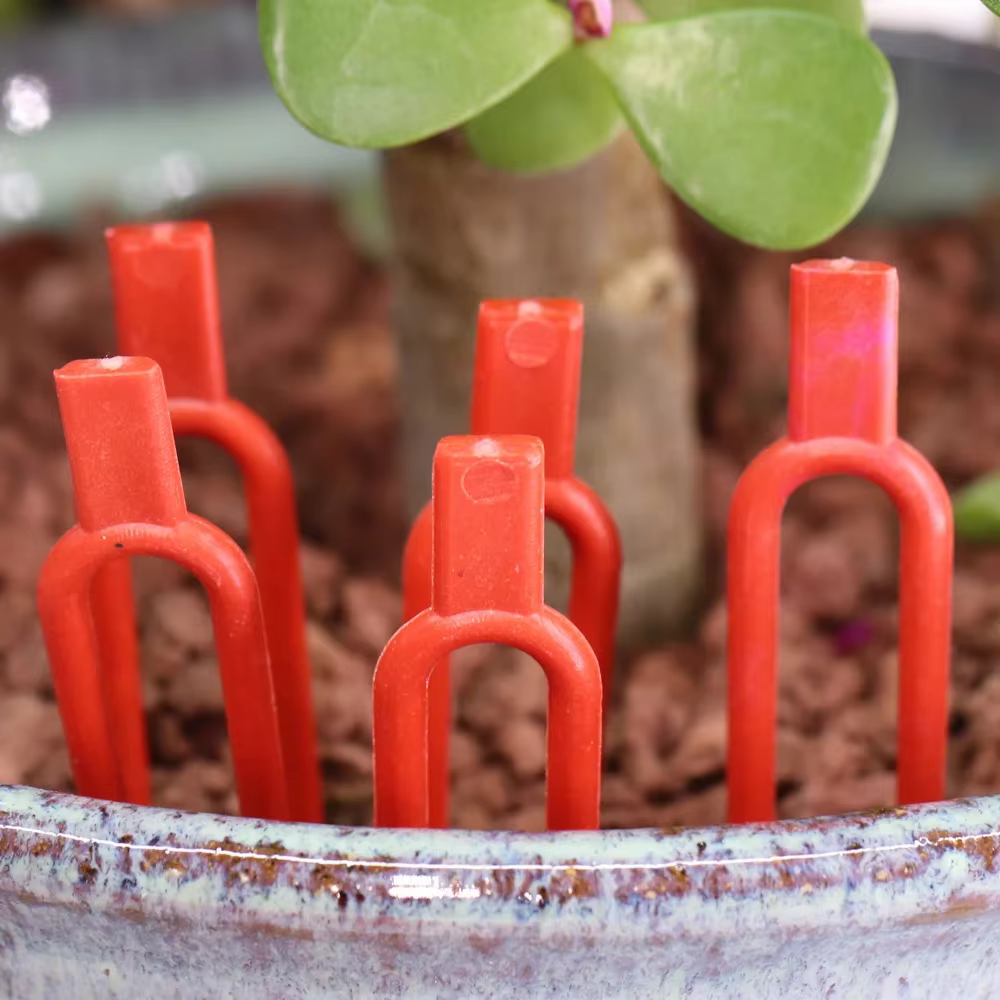 Fixateur de tige de plante 100 pièces, fourchette de plantation de fraises de jardin, fixation de pa