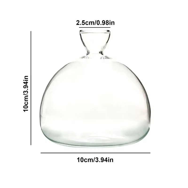 Vase de démarrage de graines d'avocat, Vase en verre Transparent pour plantes en croissance, Kit de 