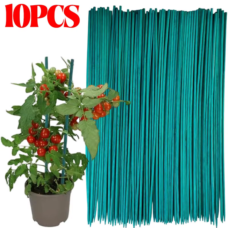 Bâtons de Soutien pour Plantes, Canes en Bambou, Piquets de Soutien pour Tomates, Supports pour Fleu
