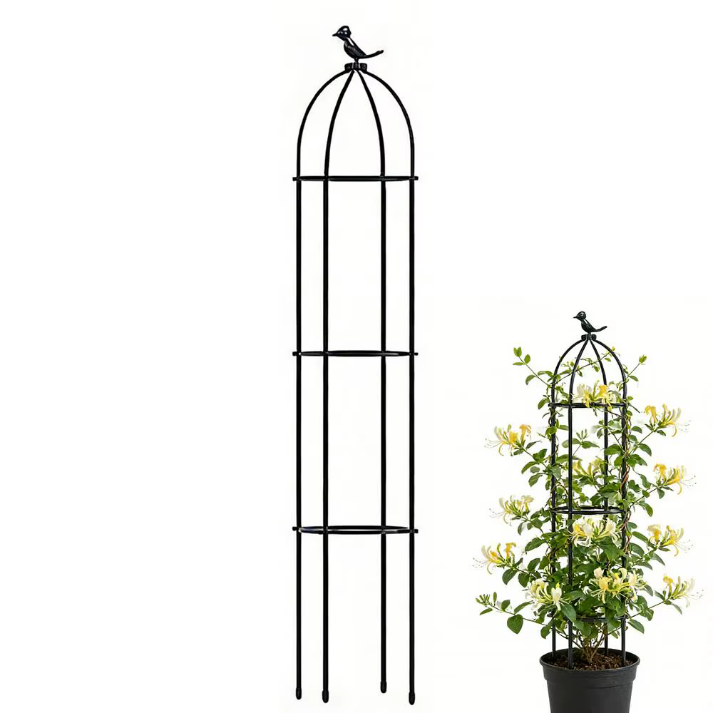 Treillis de jardin pour plantes grimpantes, cadre antirouille, piquets de soutien, support pour plan
