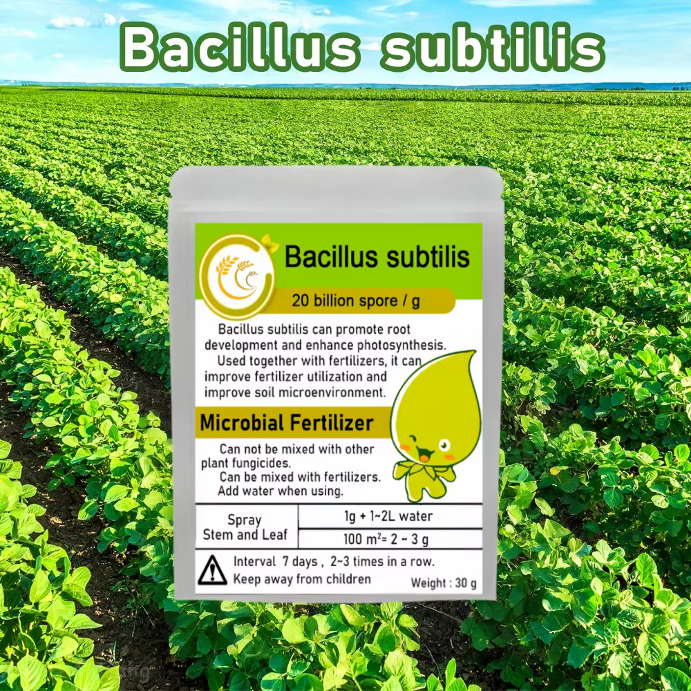 Engrais organique microbien Bacillus Sub Śose, 30g, solubles dans l'eau, protège les plantes, régule