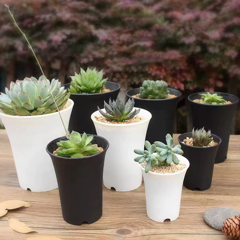 Pot de fleurs rond épaissi pour plantes succulentes, bassin Vientiane, jardinière de fleurs réutilis