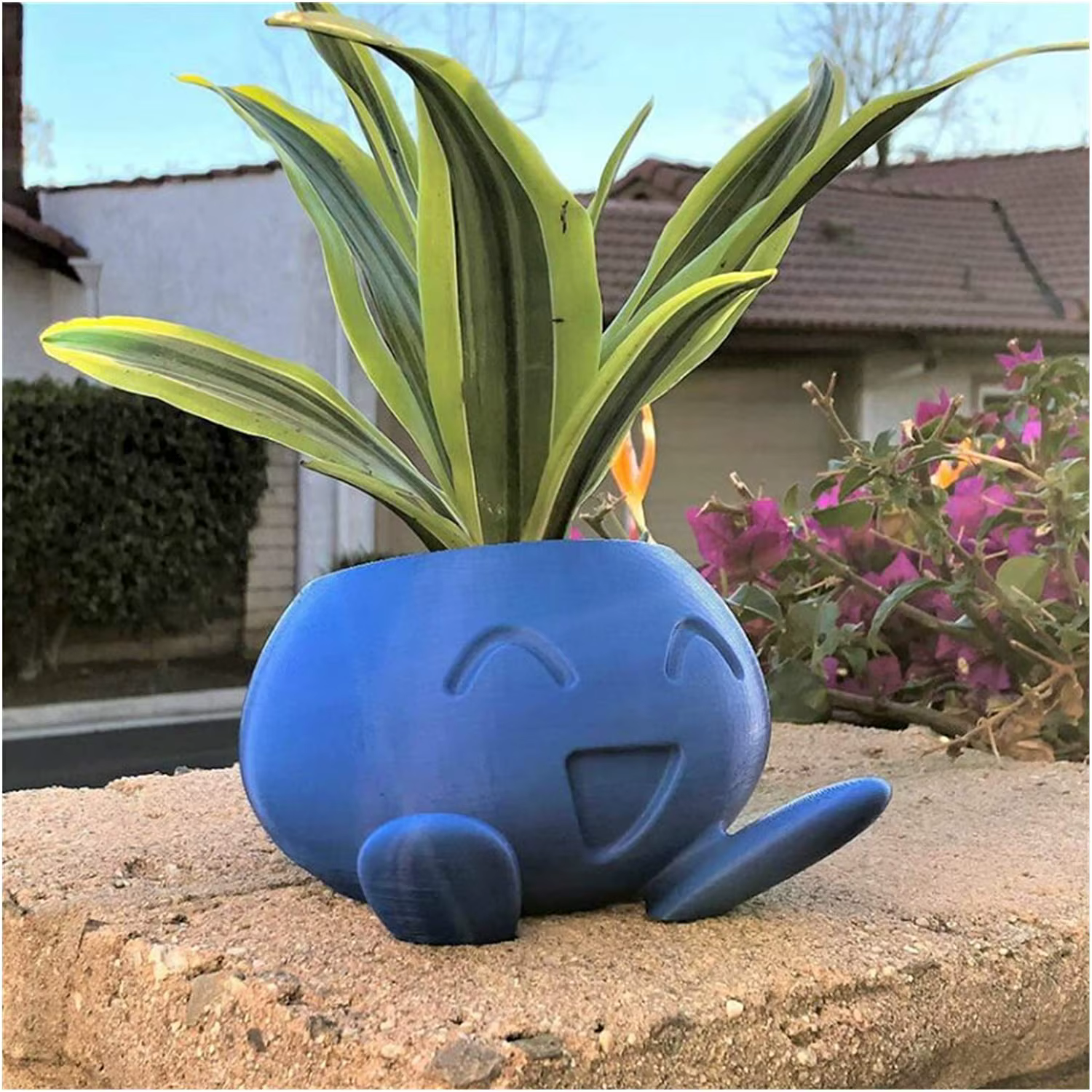 Jardinière étrange Pot de fleur étrange Pot de fleur succulente Pot de plante planteur
