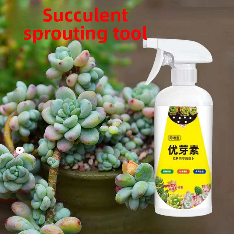 Spray promoteur de bourgeons pour plantes succulentes, encourage la floraison et la culture multi-tê