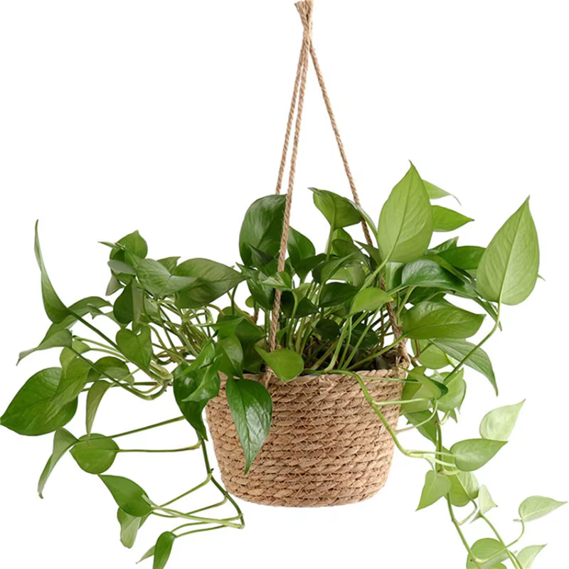 Jardinière suspendue en macramé, panier de rangement pour plantes, corde de Jute tissée, support de