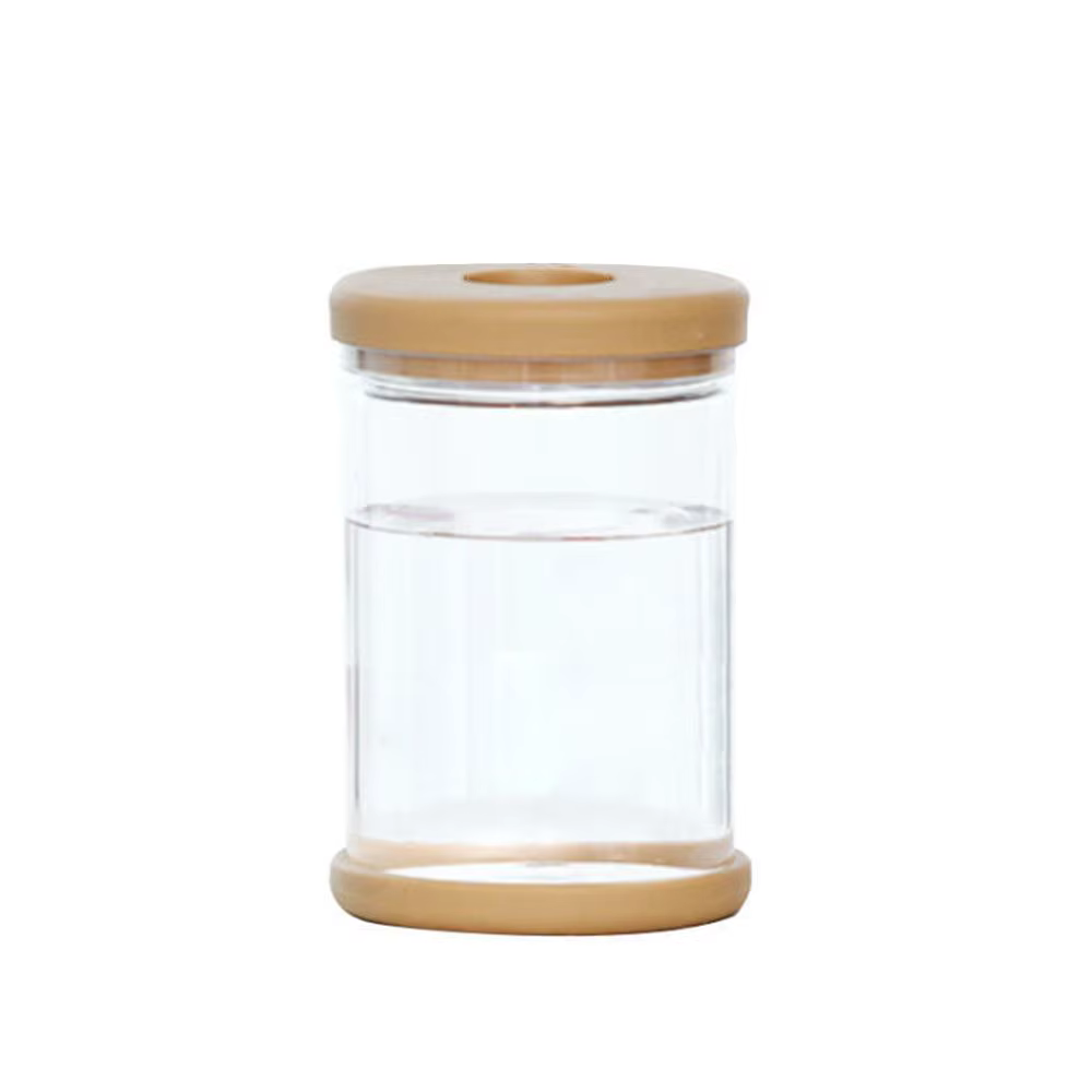 Vase hydroponique en plastique transparent pour la décoration de la maison, pot de fleur de style si