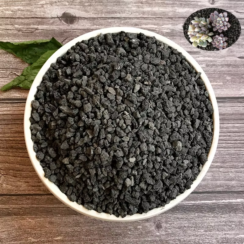 Particules de roche volcanique noire, 500/1000g, culture de fleurs/plantes succulentes, Filtration d