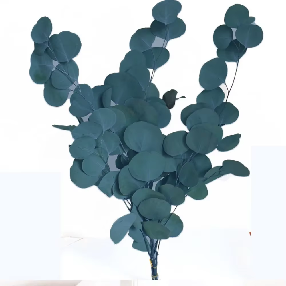 Bouquet de feuilles d'eucalyptus conservées, 100g, fleurs séchées naturelles, vraie feuille de pomme