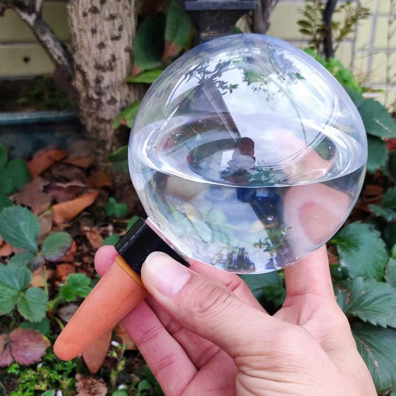 Système d'irrigation goutte à goutte automatique de 500ML, ampoules d'arrosage automatique pour plan