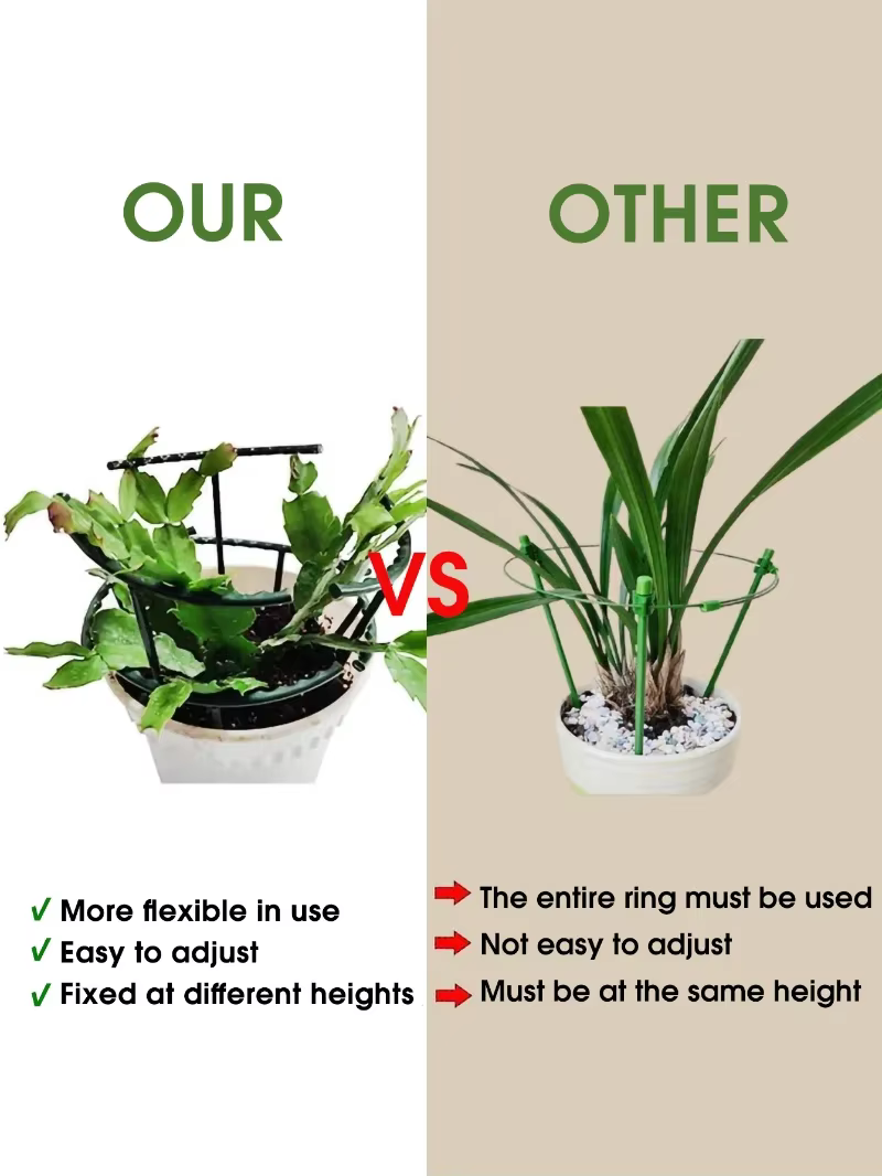 Support pour plantes épissées, 2 tailles, support pour orchidées monocouche, multi-viande, Support p