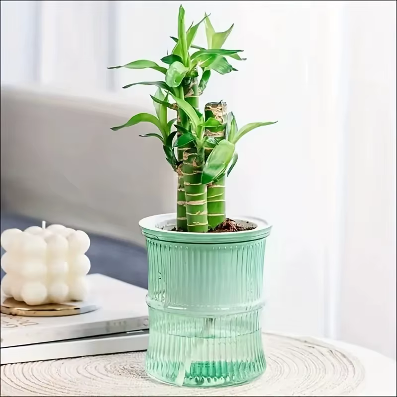 Pot de fleur hydroponique paresseux, Pot de fleurs automatique absorbant l'eau, Transparent, Double 