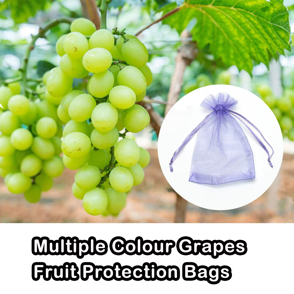 Sacs de culture de légumes et de raisins, 20 à 100 pièces, sacs de Protection des fruits, filet Anti