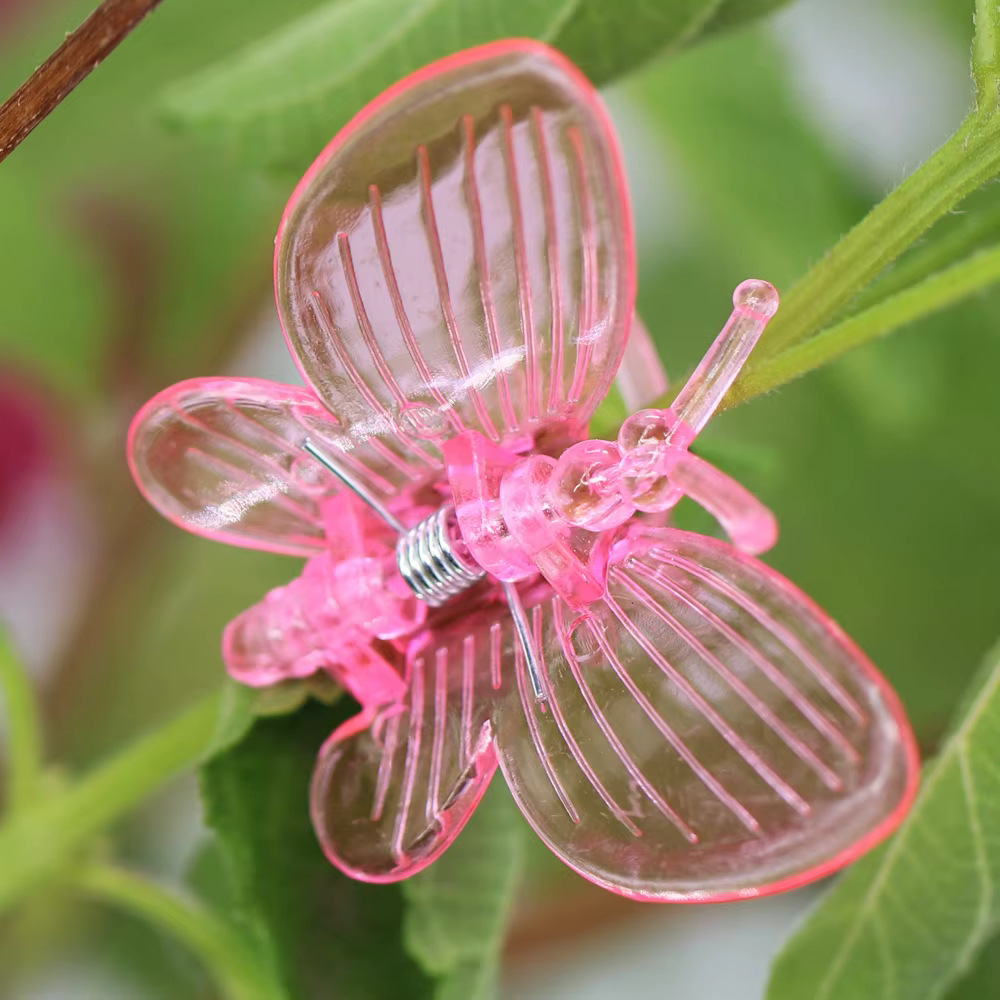 10-800 pièces orchidée pinces papillon pinces plantes de jardin vigne escalade Support fixe coloré e
