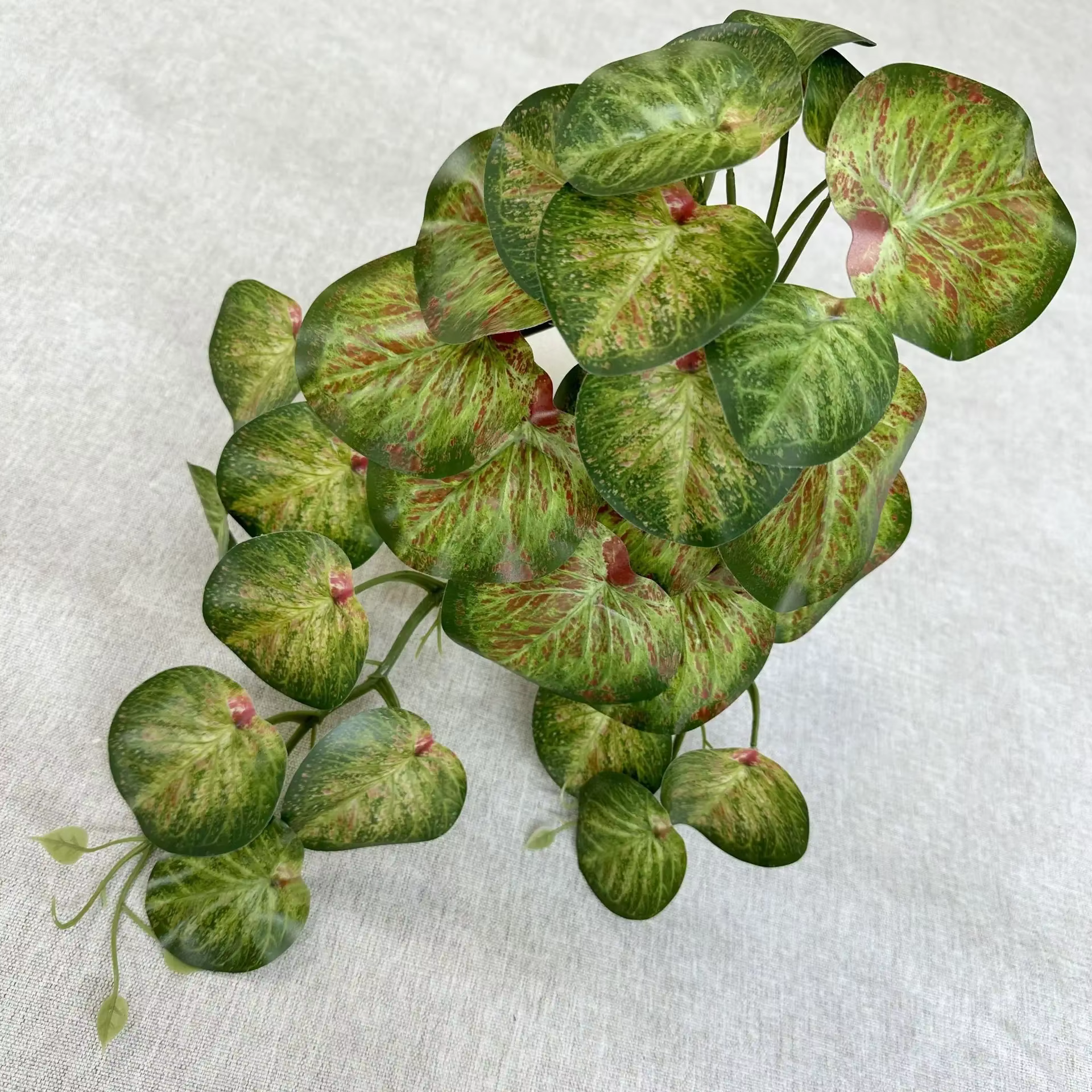 Plantes vertes simulées d'aloès vert, 45cm, feuille de coquille ronde suspendue au mur, feuilles de 