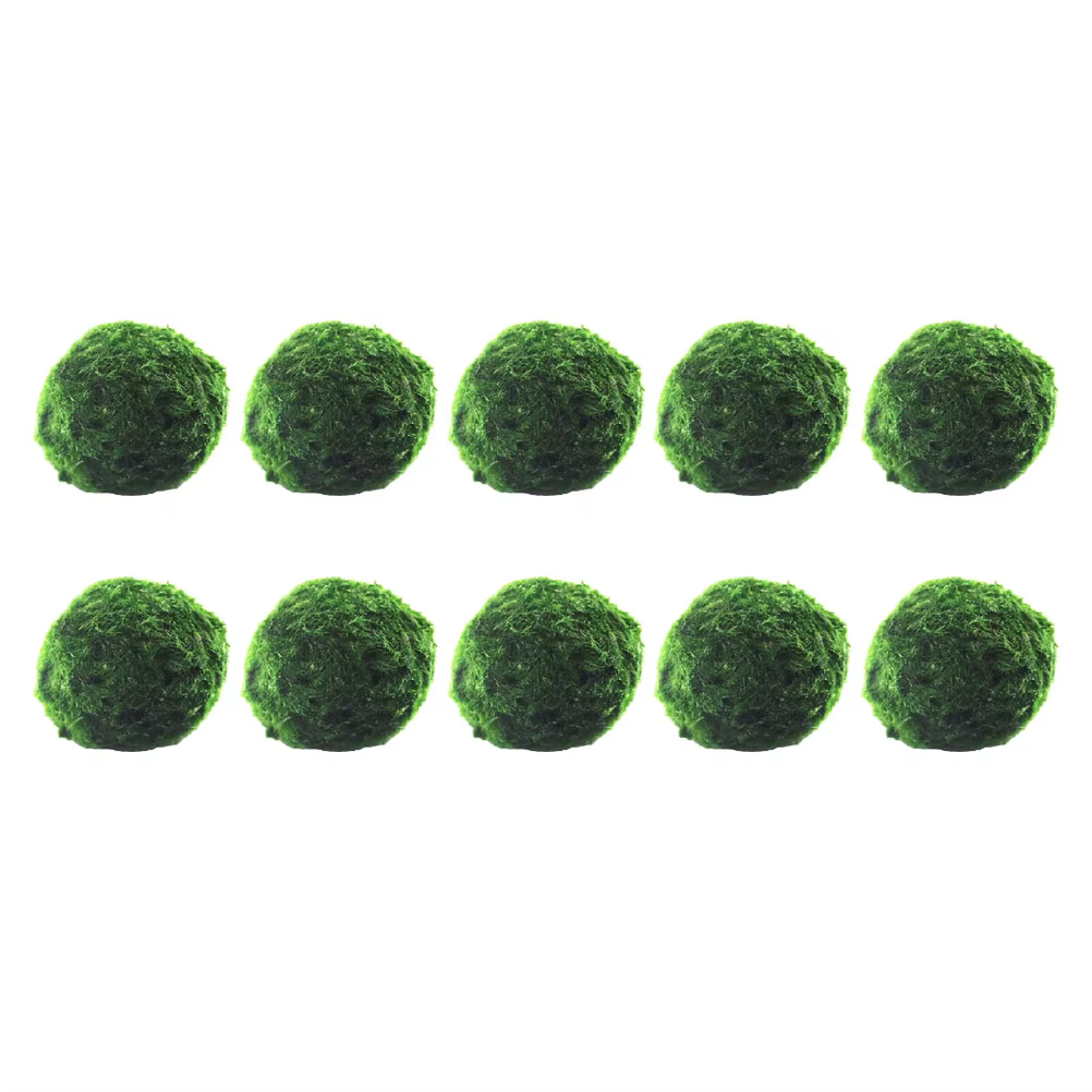 Boules d'algues hydroponiques, 10 pièces, culture d'eau, plantes d'aquarium pour réservoir de crevet