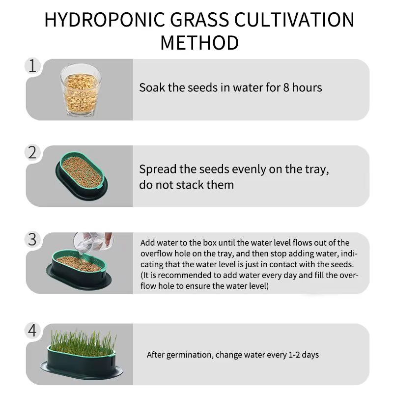 Nouveau plat de germination de chat de compagnie Pot de culture plante hydroponique chat herbe Germi