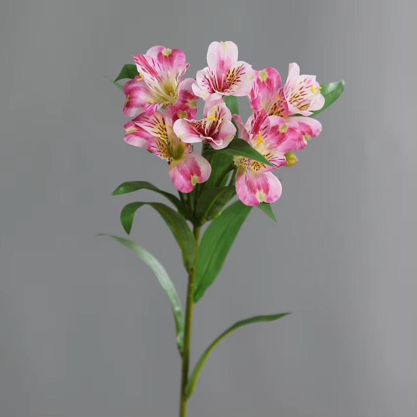 1 pièces 78 cm haute qualité artificielle péruvienne lys Alstroemeria fleurs en soie mariage décor à