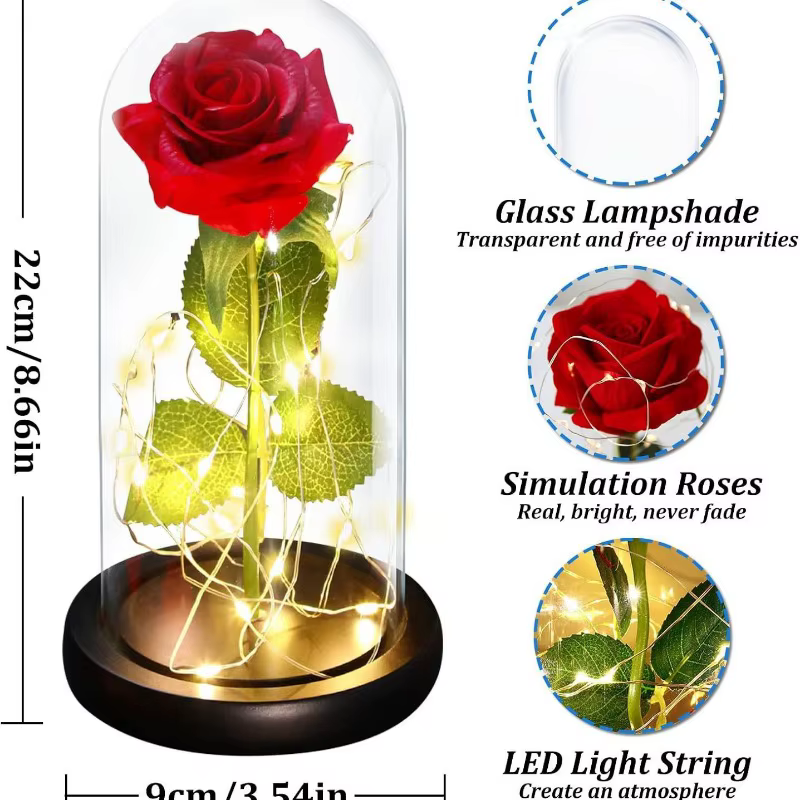 La Belle et la Bête - Rose dans un dôme en verre - Fleur éternelle avec lumière LED - Cadeau pour la