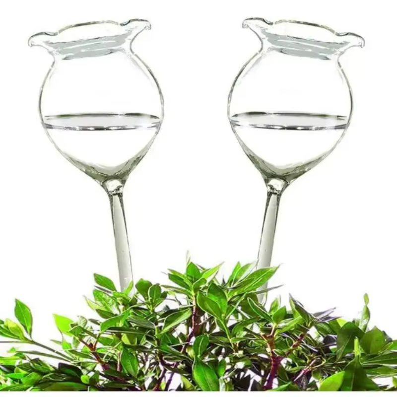 Dispositif d'arrosage automatique pour plantes, boule d'arrosage, pointe d'arrosage, verre transpare