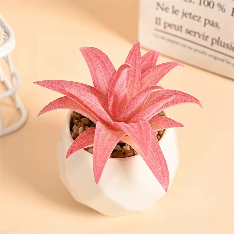 Ensemble de Mini plantes succulentes artificielles, faux bonsaï de Cactus réaliste pour l'intérieur 