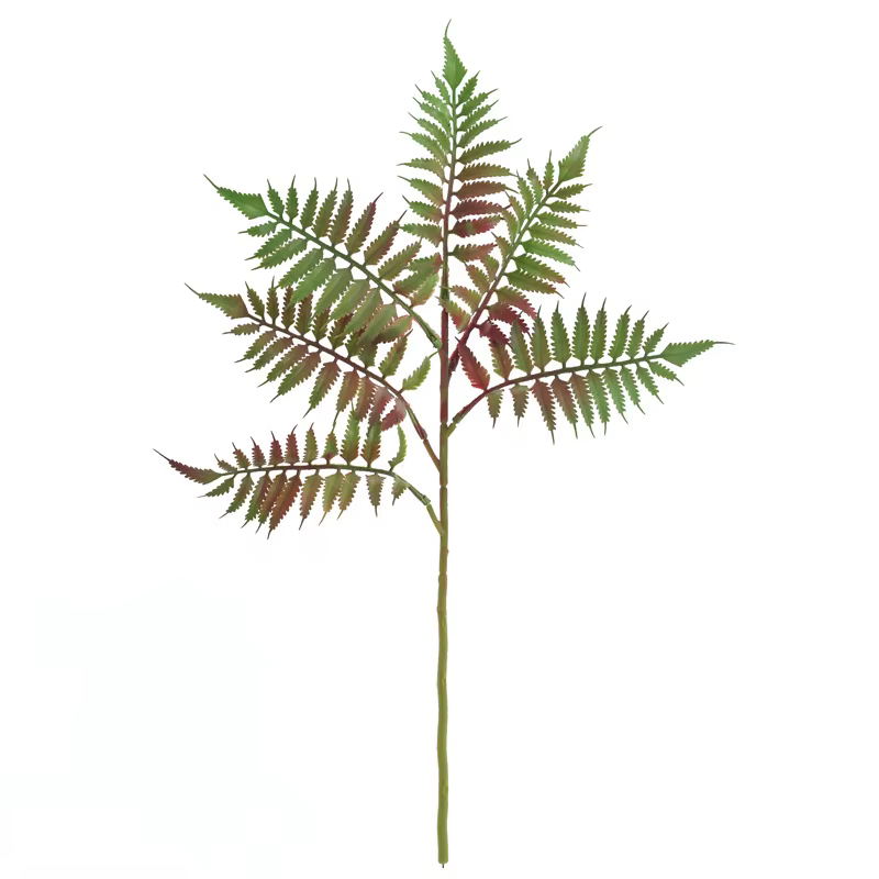 Fougère Artificielle en Plastique, Fausse Fleur, Cuir oral elu, Queue de Phénix, Feuilles, Simulatio