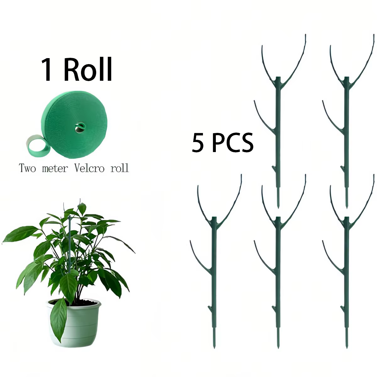 6 piquets de support pour plantes Monstera, conçus pour soutenir les tiges des plantes grimpantes - 