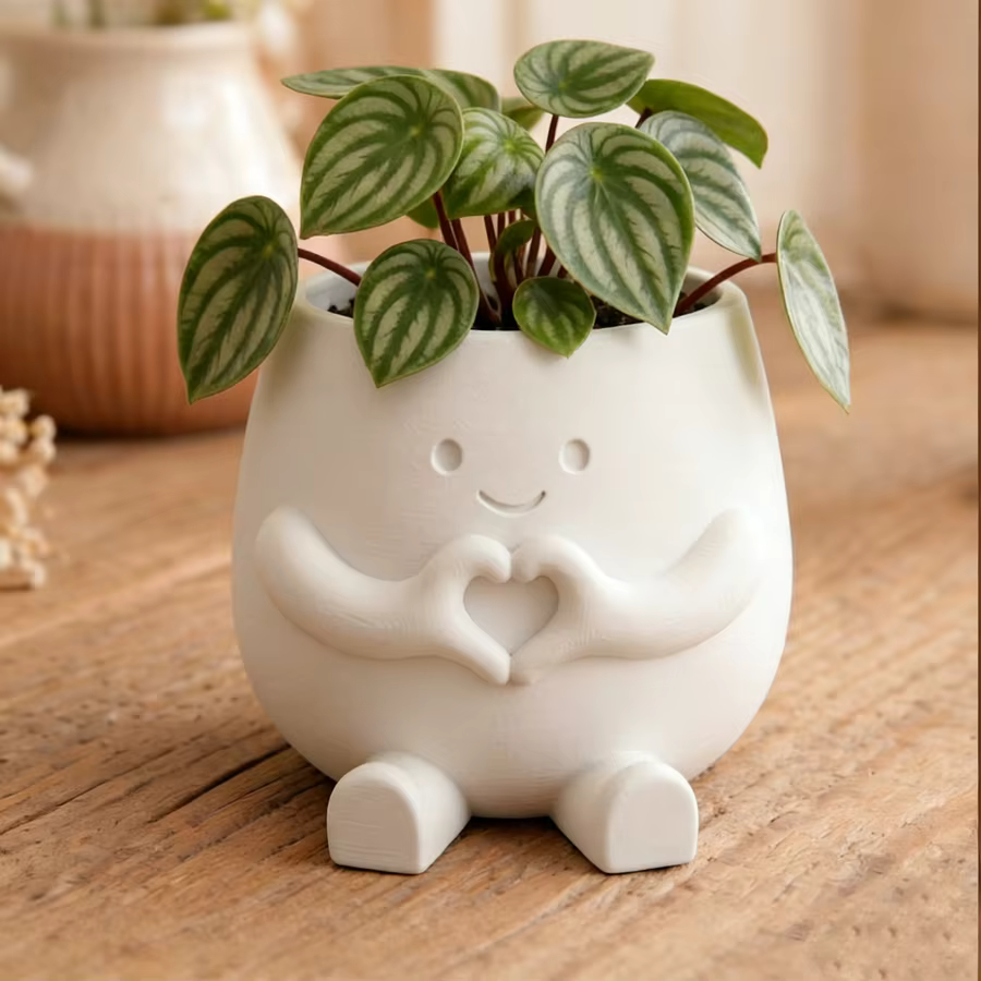 Pot de fleurs imprimé en 3D pour plantes grimpantes et succulentes – Jardinière légère en plastique 