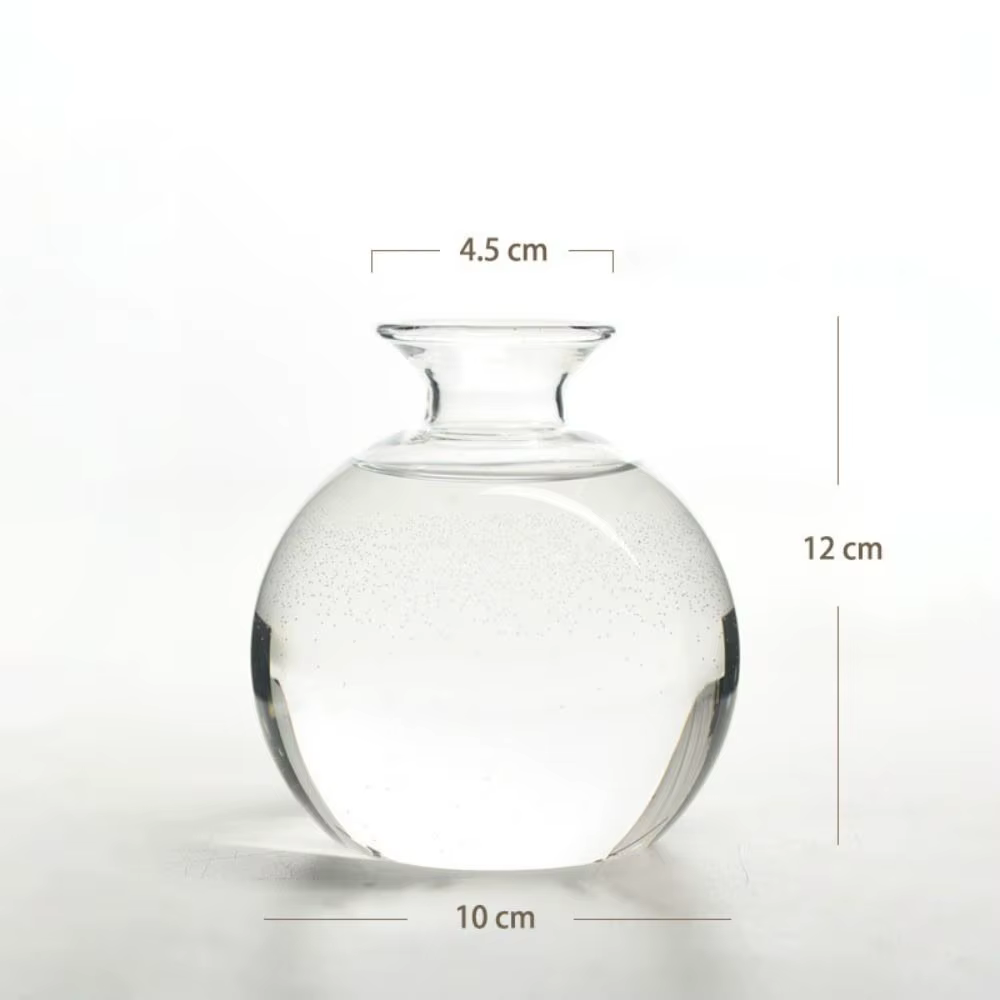 Vase de germination pour graines d'avocat, Kit de culture d'avocat en verre avec autocollants, Cadea