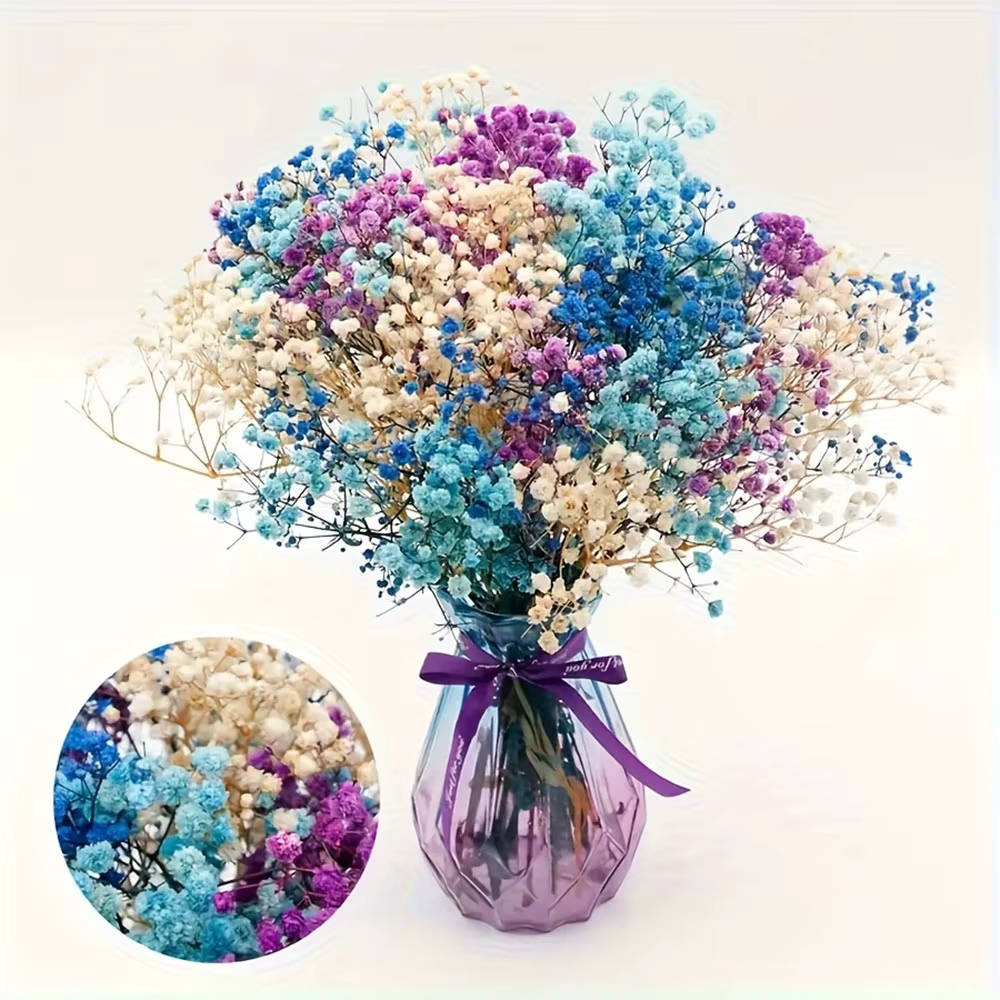 Bouquet de fleurs séchées naturelles colorées pour bébé, gypsophile au toucher réel pour Chic Boho, 