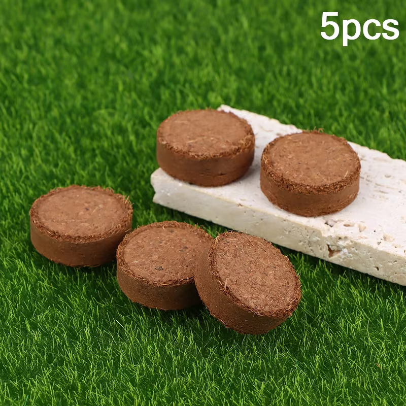 Lot de 5 pièces de fibres de coco compressées pour rempotage, sol en AMP moyen, pour l'intérieur ou