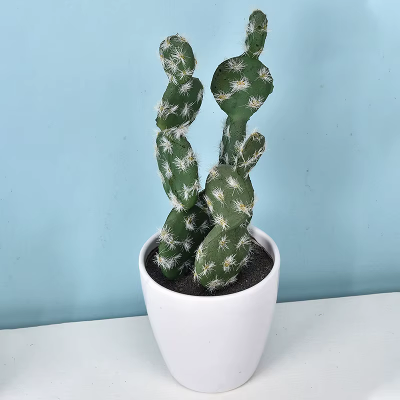 Cactus artificiel en pot plante verte Simulation succulente en pot fausses plantes Cactus bonsaï mai