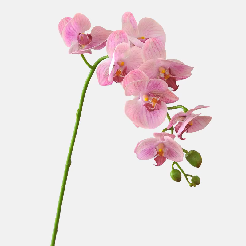 Branche d'orchidée hydratante, fausse fleur phalaenopsis artificielle, accessoires de table de salon