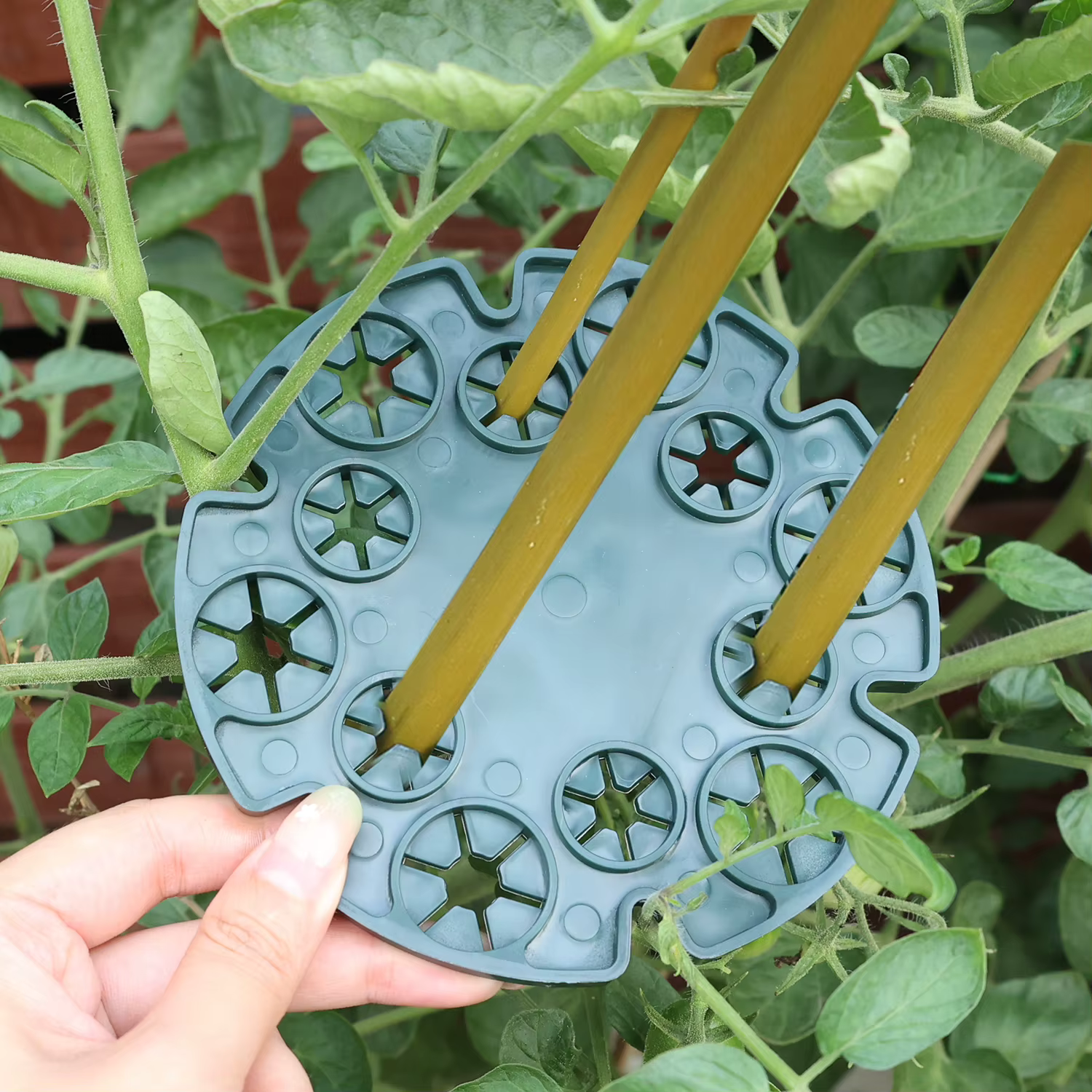 Support pour plantes de jardin, colonne de fleurs, cadre d'escalade, plante en plastique, haricot de
