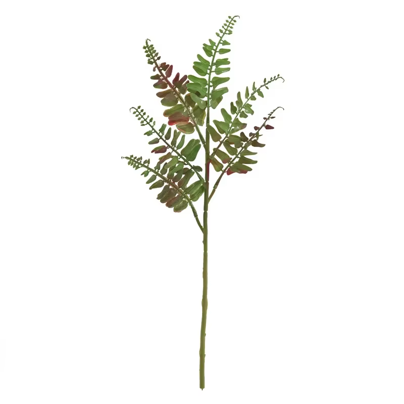 Feuilles de fougère persane de Simulation d'aloès vert, 10 pièces, plantes vertes en plastique, déco